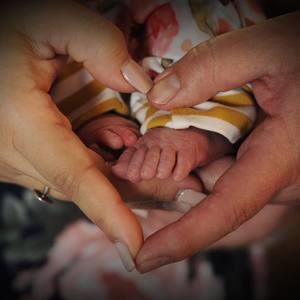 Meet your Posher, Pedro a.